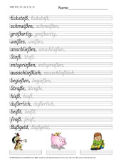 DSS_2S_Bu_ß_Nr_09.pdf